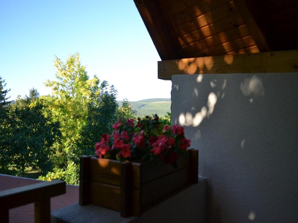 Hotel Turjan Vendeghaz Erdőbénye Exterior foto